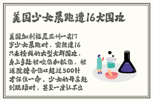 吉泽明步全集